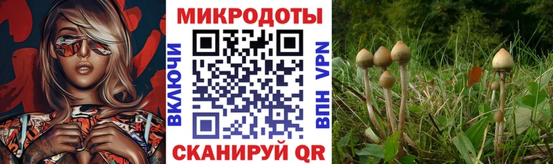 что такое наркотик  Энгельс  Галлюциногенные грибы ЛСД 